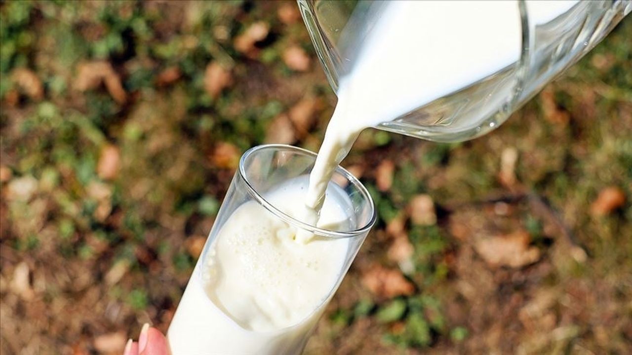 Çiğ süt tavsiye satış fiyatının 4 lira 70 kuruşa yükselmesi üreticiyi memnun etti