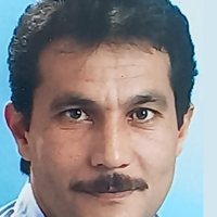 Metin Badem