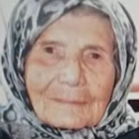 Gülizar Akgün