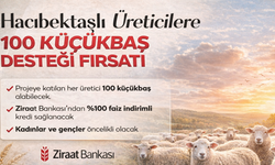 Üreticilere 100 Küçükbaş Desteği Fırsatı