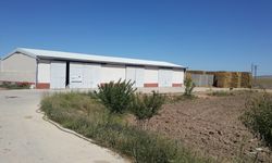 İlicek Köyü’nde TKDK Destekli Süt Çiftliği Hizmete Girdi