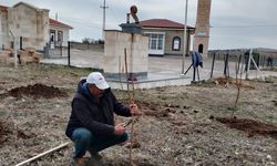 CHP Hacıbektaş İlçe Başkanlığı’ndan Ağaçlandırma Projesi