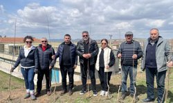 Hacıbektaş’ta "Geleceğe Nefes" Projesi: Bala Mahallesi’nde Fidanlar Toprakla Buluştu