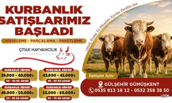 Çıtak Hayvancılık'ta Kurbanlık Satışları Başladı