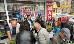 CHP Hacıbektaş İlçe Başkanlığı’ndan 3 Bin Domates Fidesi Dağıtımı