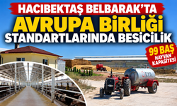 Belbarak’ta Avrupa Birliği Standartlarında Besicilik
