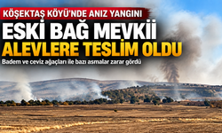 Köşektaş Köyü’nde Anız Yangını: Badem ve Ceviz Ağaçları Zarar Gördü