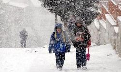 Hacıbektaş'ta Taşımalı Eğitim ve Köy Okulları Kar Yağışı Nedeniyle Tatil Edildi