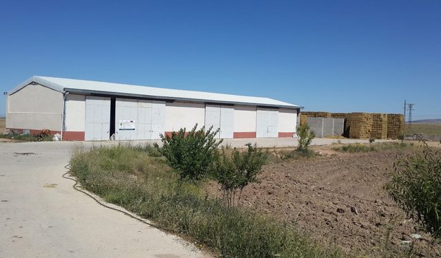 İlicek Köyü’nde TKDK Destekli Süt Çiftliği Hizmete Girdi