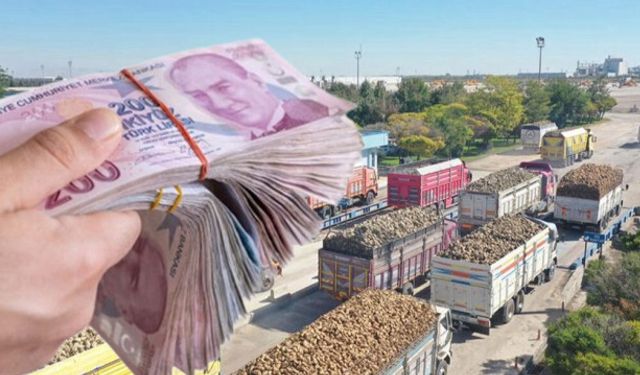 Pancar Paraları Şubat’ta Hesaplarda