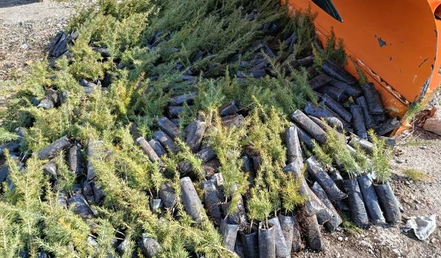 Elçin Altuğ’dan Hacıbektaş’a 1000 Fidan Bağışı