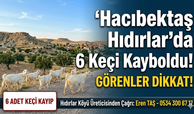 Hacıbektaş Hıdırlar’da 6 Keçi Kayboldu! Görenler Dikkat!