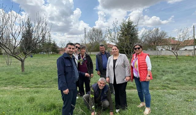 Hacıbektaş’ta “Bir Dikili Ağacınız Olsun” Projesiyle 80 Fidan Toprakla Buluştu