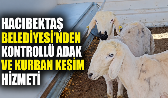 Hacıbektaş Belediyesi'nden Kontrollü Adak ve Kurban Kesim Hizmeti: Uzaktan Vekâlet İmkânı da Sunuluyor