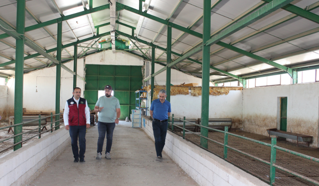 TKDK'dan Hacıbektaş'taki 482 Başlık Kapasiteli Koyun Çiftliğine Ziyaret