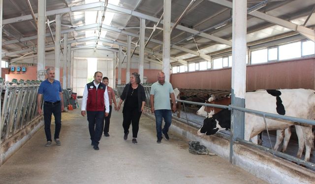 TKDK Destekli 49 Başlık Süt Çiftliği Hacıbektaş’ta Örnek Gösterildi