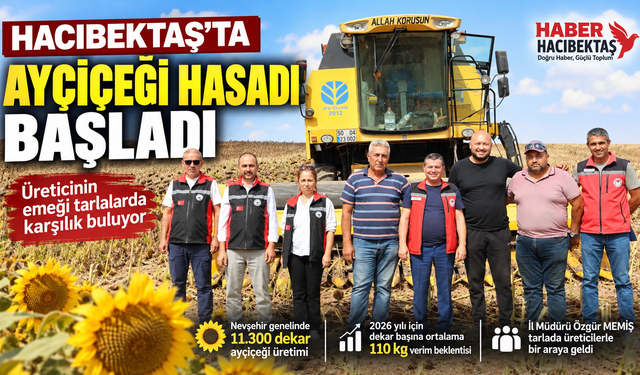 Hacıbektaş’ta Ayçiçeği Hasadı Sürüyor