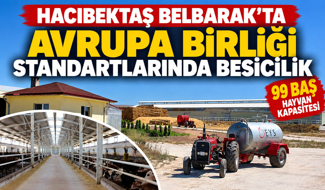 Belbarak’ta Avrupa Birliği Standartlarında Besicilik
