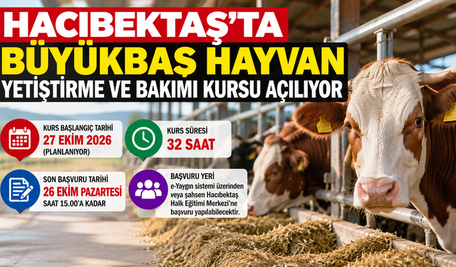 Hacıbektaş’ta Büyükbaş Hayvan Yetiştirme ve Bakımı Kursu Açılıyor