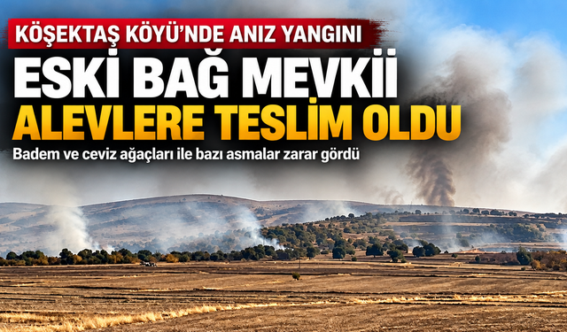 Köşektaş Köyü’nde Yangın: Badem ve Ceviz Ağaçları Zarar Gördü