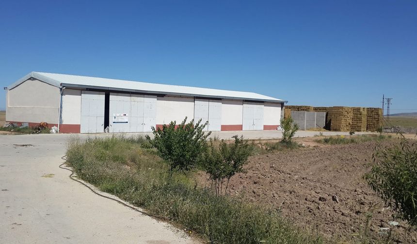 İlicek Köyü’nde TKDK Destekli Süt Çiftliği Hizmete Girdi