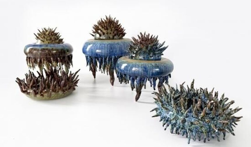 NNEVÜ’lü GSF Seramik ve Cam Bölümü Öğrencisinden Altın Testi Seramik Yarışması’nda Mansiyon Ödülü