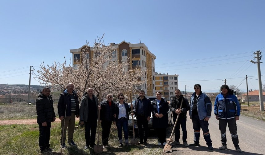 Hacıbektaş’ta Yeşil Seferberlik Büyüyor: İki Mahalleye Daha Meyve Fidanı