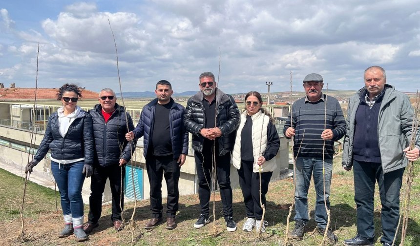 Hacıbektaş’ta "Geleceğe Nefes" Projesi: Bala Mahallesi’nde Fidanlar Toprakla Buluştu