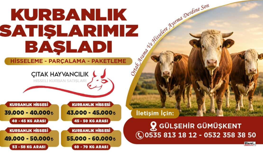 Çıtak Hayvancılık'ta Kurbanlık Satışları Başladı