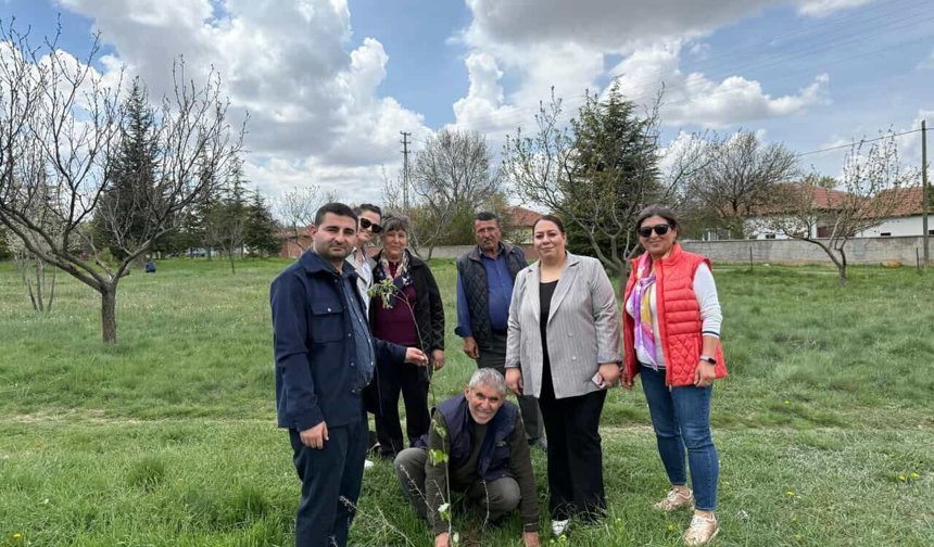 Hacıbektaş’ta “Bir Dikili Ağacınız Olsun” Projesiyle 80 Fidan Toprakla Buluştu