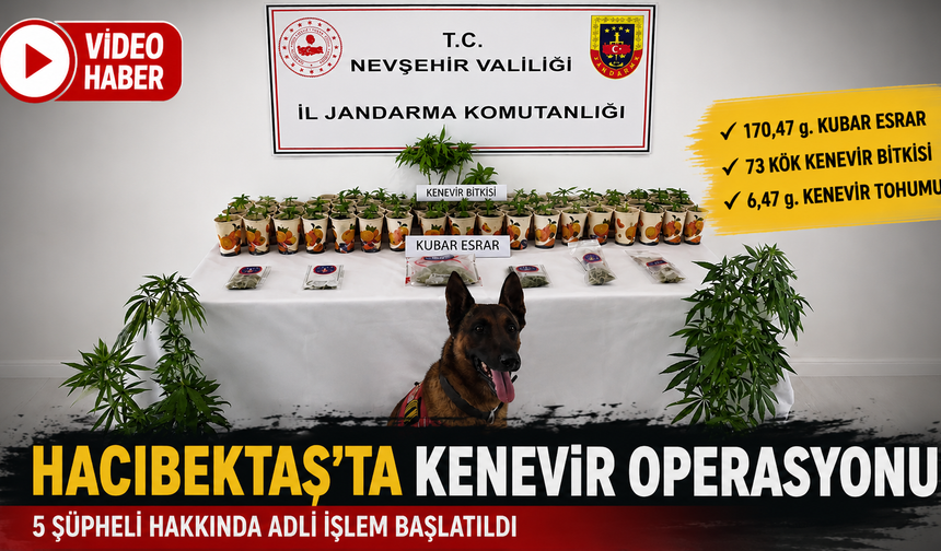 Hacıbektaş'ta Kenevir Operasyonu: 5 Şüpheli Hakkında İşlem Başlatıldı