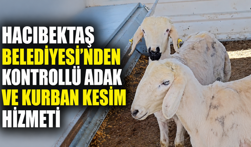 Hacıbektaş Belediyesi'nden Kontrollü Adak ve Kurban Kesim Hizmeti: Uzaktan Vekâlet İmkânı da Sunuluyor