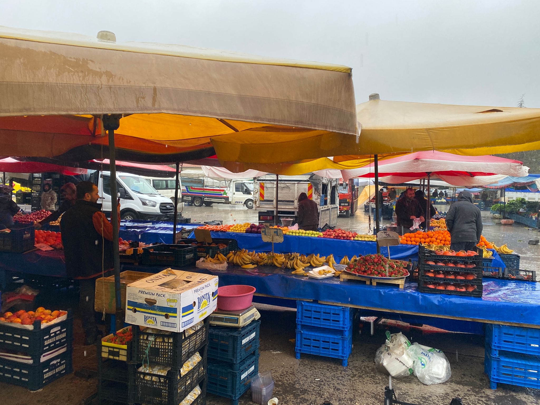 Whatsapp Image 2026 02 18 At 09.19.14