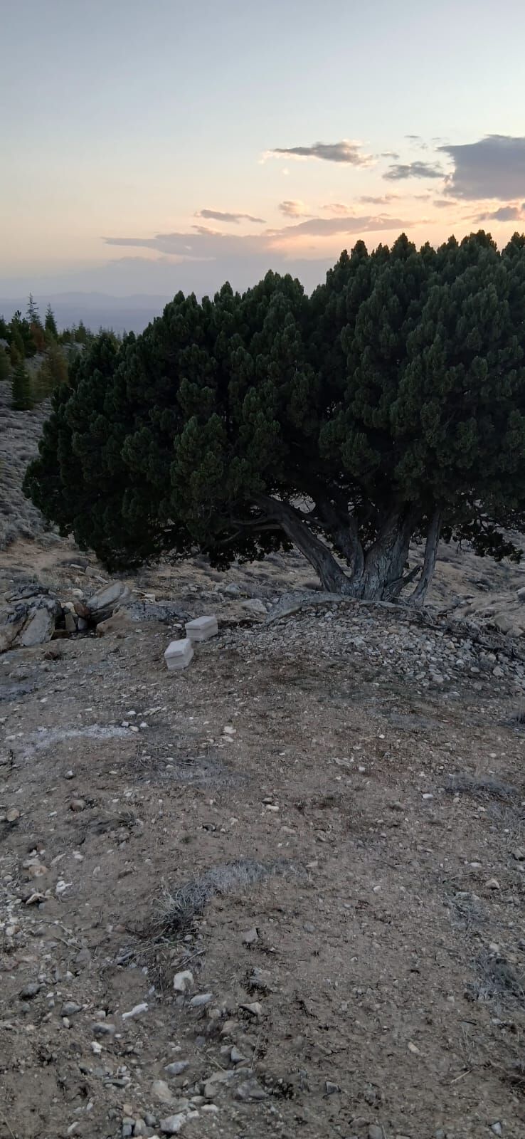 Whatsapp Image 2026 02 26 At 09.27.37 (1)