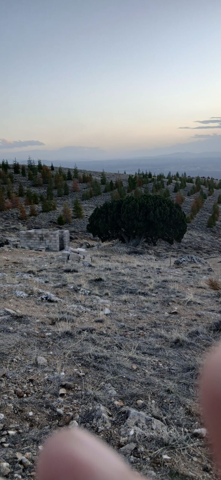 Whatsapp Image 2026 02 26 At 09.27.37