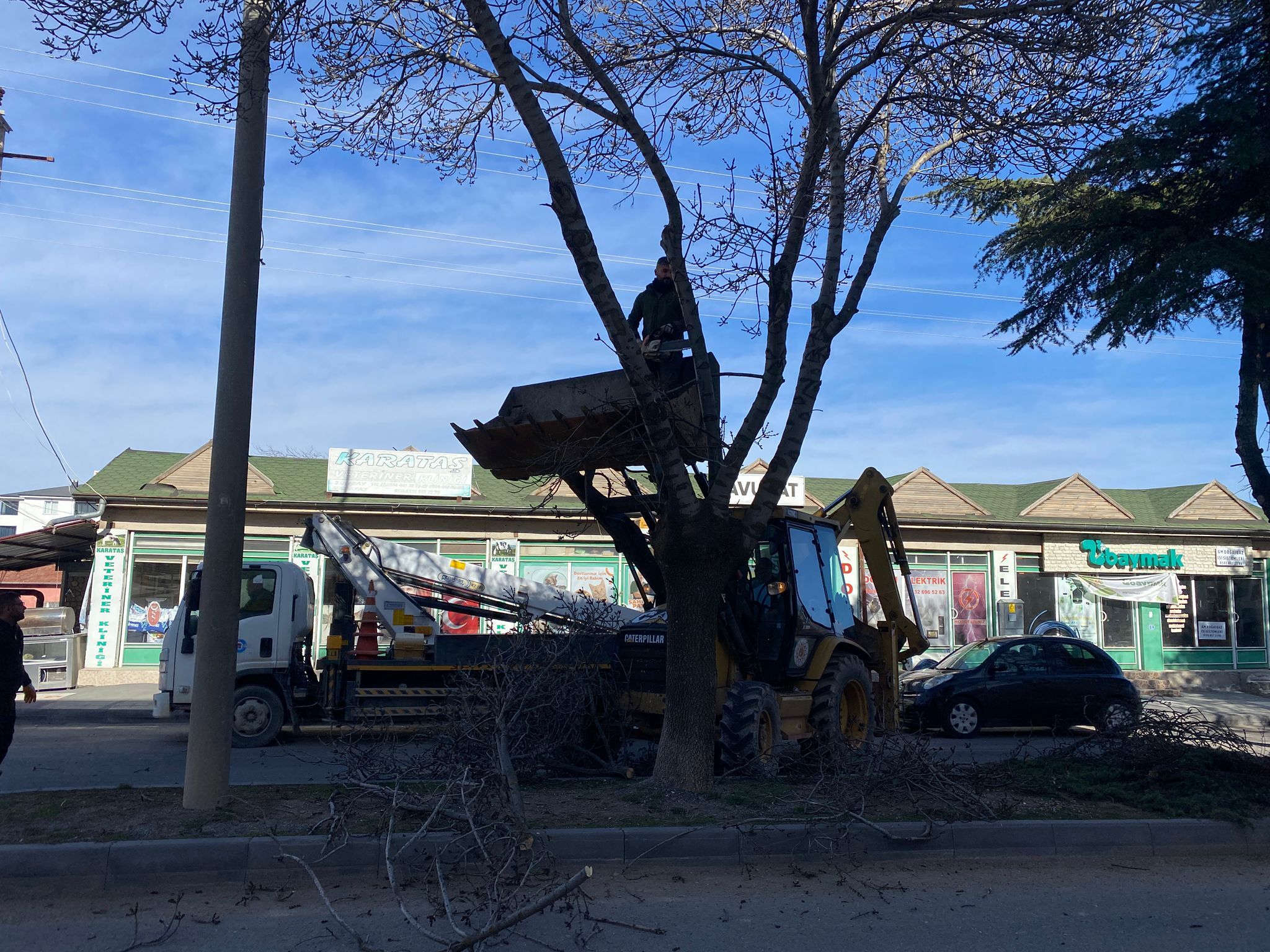 Whatsapp Image 2026 03 05 At 10.31.09