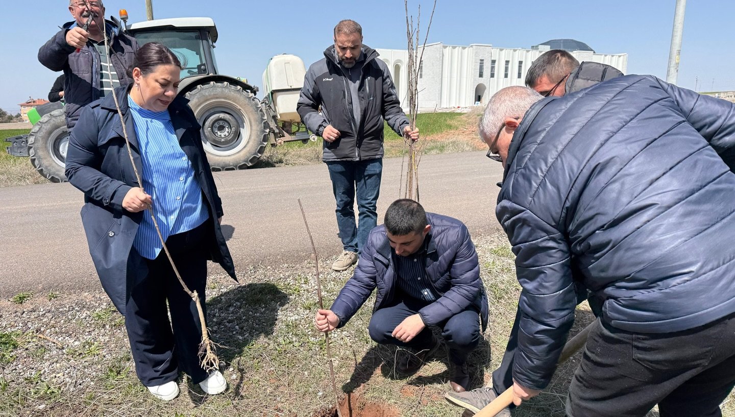 671116460 17874650730592211 9159003161872907570 N