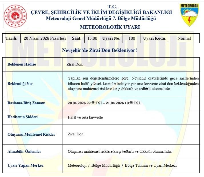 675806489 1259980106124276 8197012591319666126 N