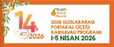 Ekran Görüntüsü 2026 04 02 132855