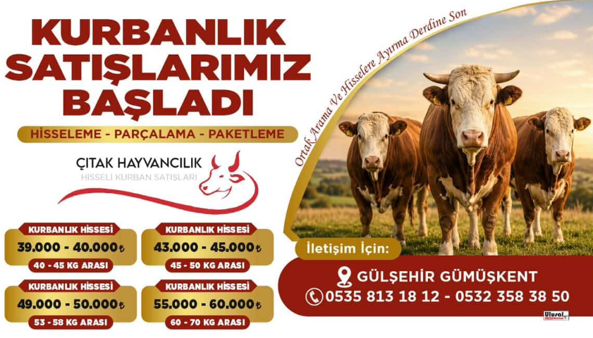 Ekran Görüntüsü 2026 04 20 135418