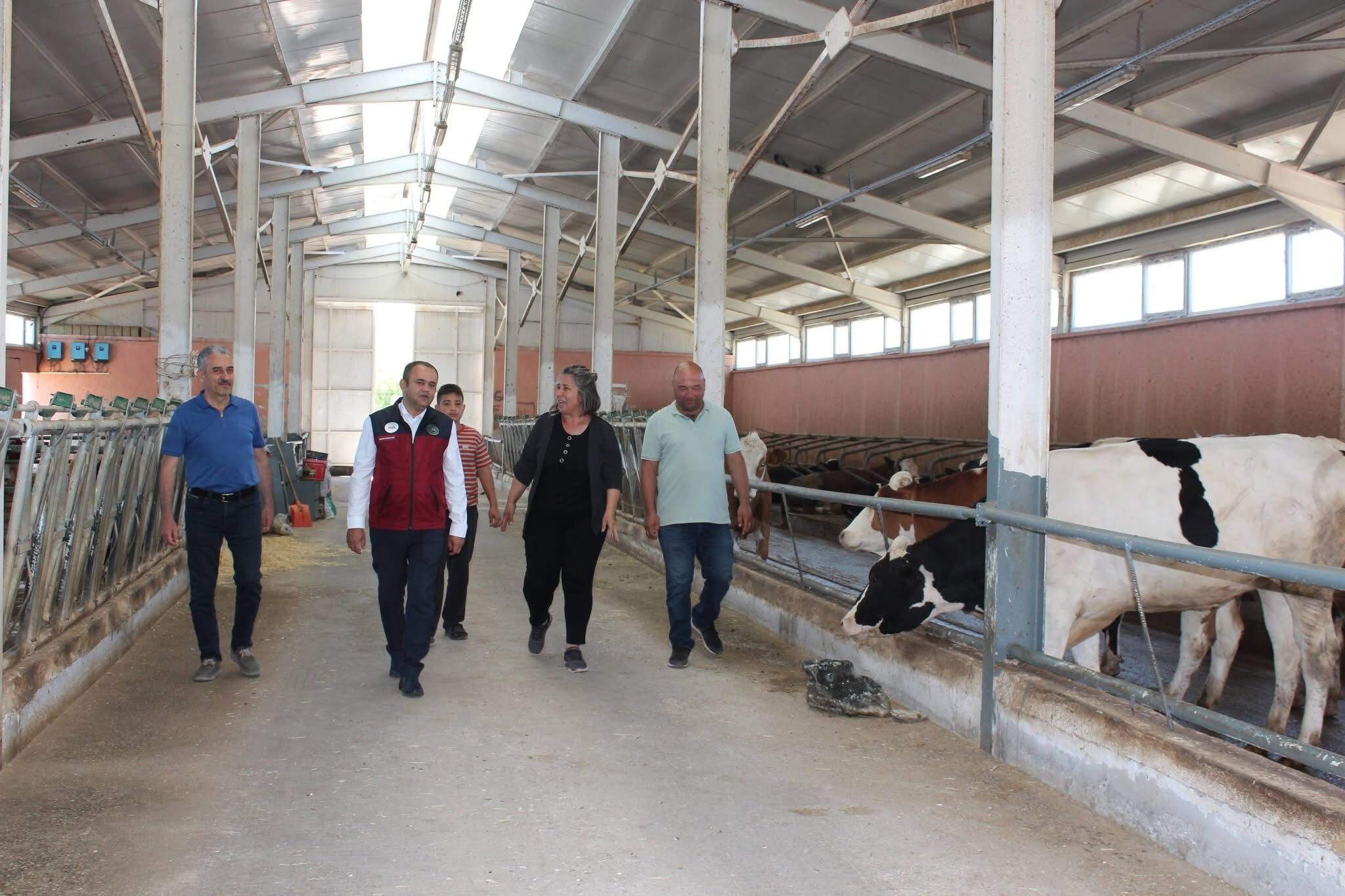 TKDK Destekli 49 Başlık Süt Çiftliği Hacıbektaş’ta Örnek Gösterildi