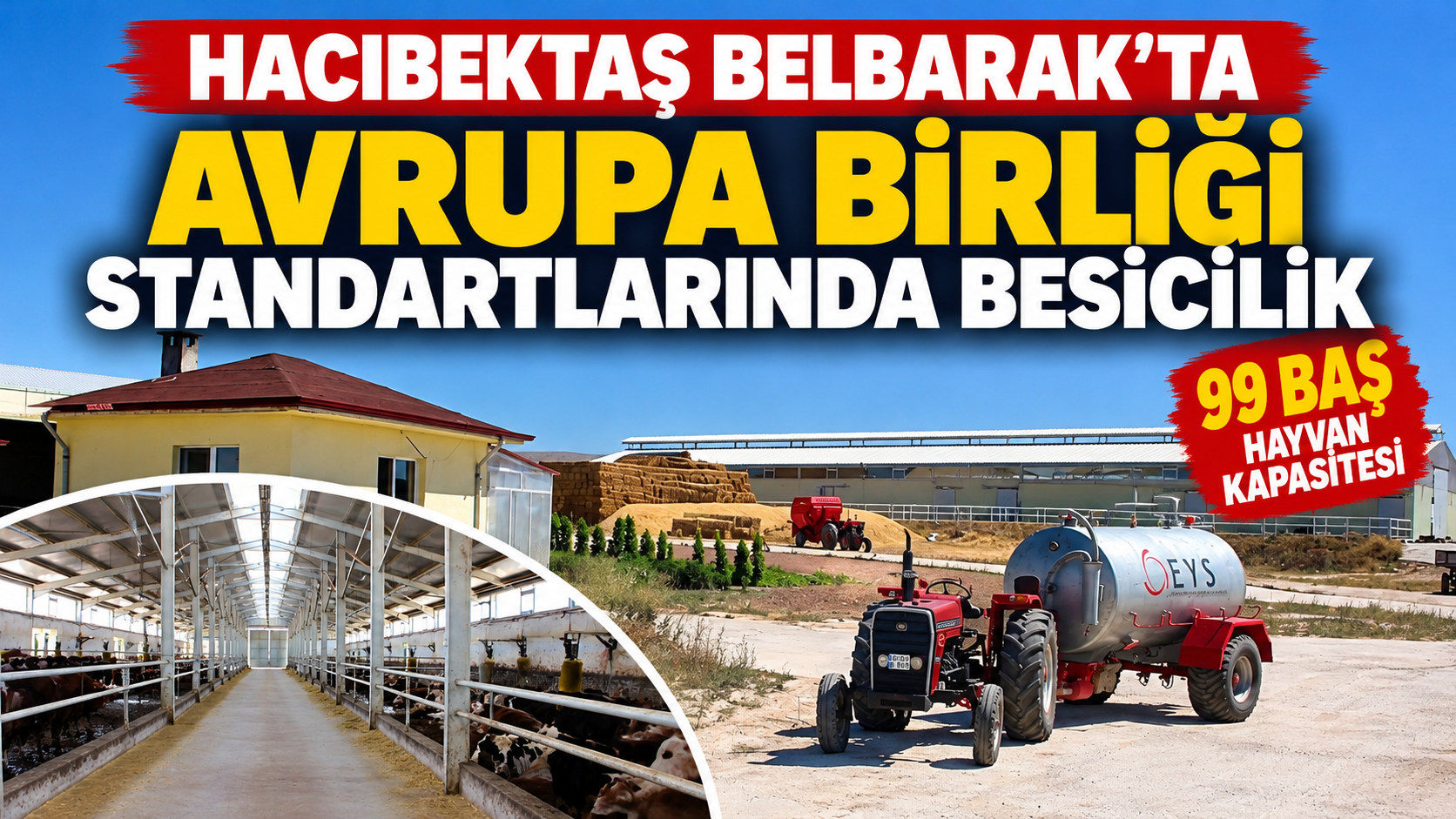 Belbarak’ta Avrupa Birliği Standartlarında Besicilik