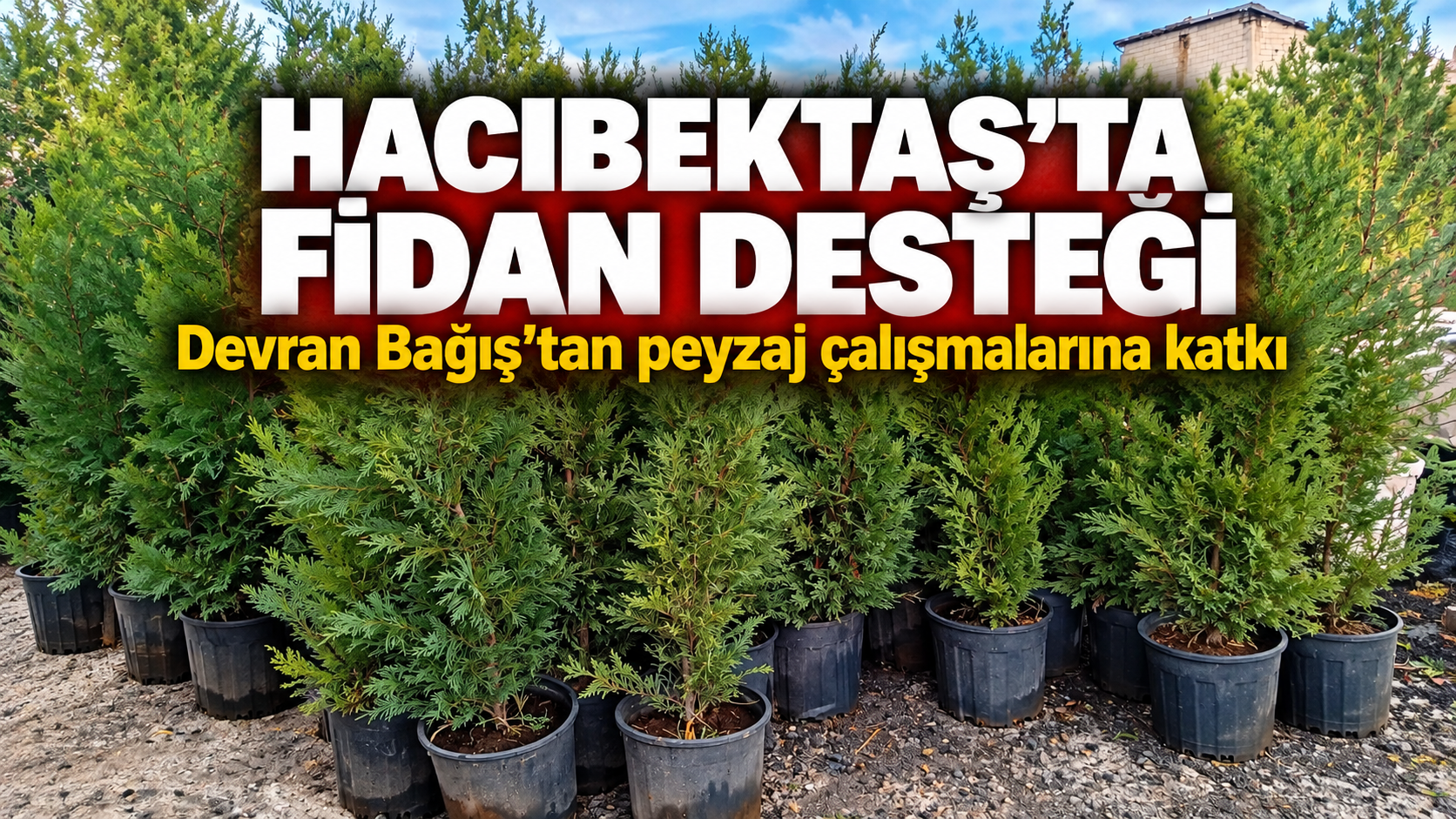 Hacıbektaş’ta Peyzaj Çalışmalarına Devran Bağış’tan Fidan Desteği