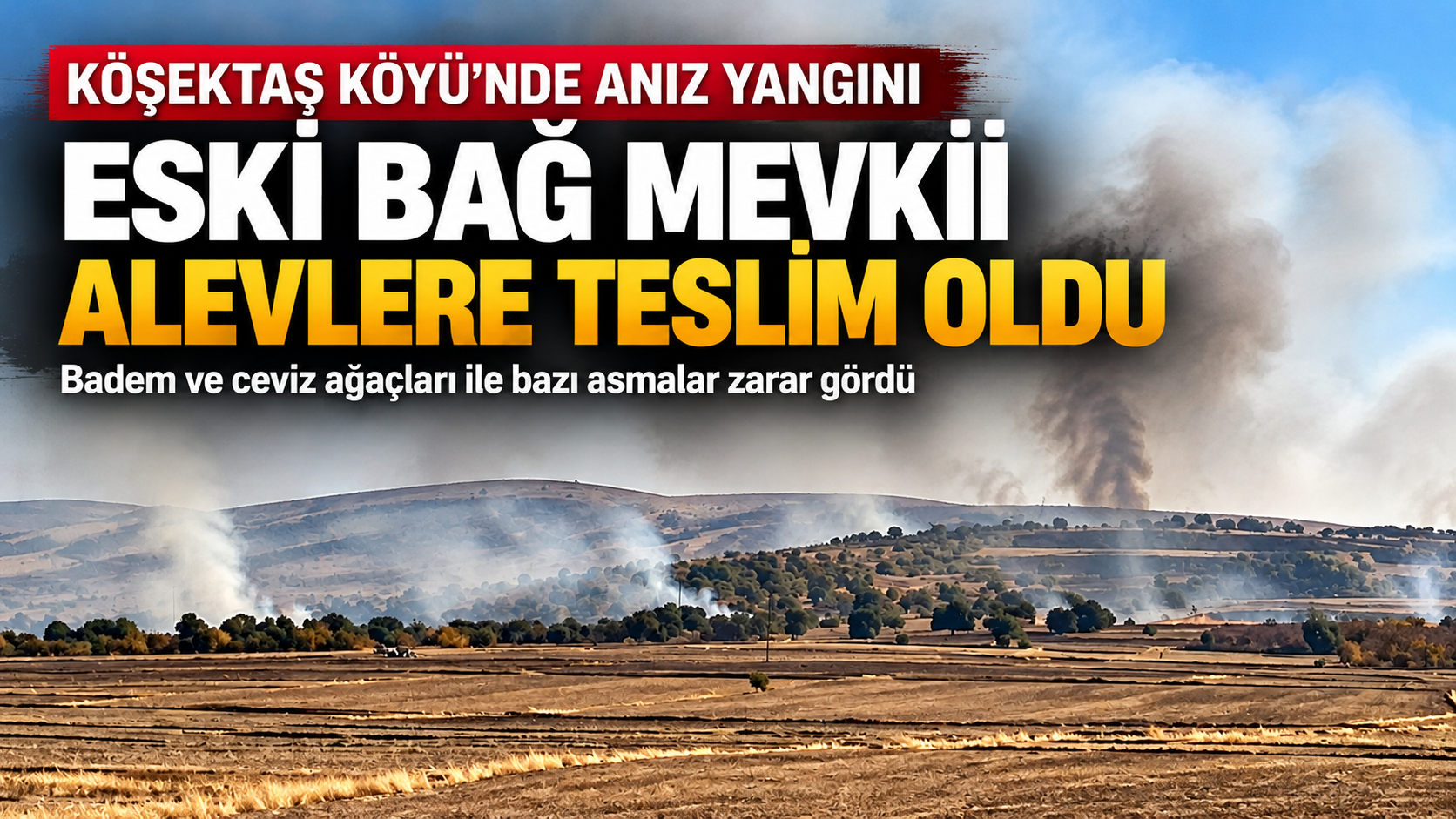 Köşektaş Köyü’nde Yangın: Badem ve Ceviz Ağaçları Zarar Gördü
